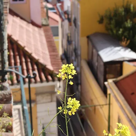 Chiado/bica Διαμέρισμα Lisboa